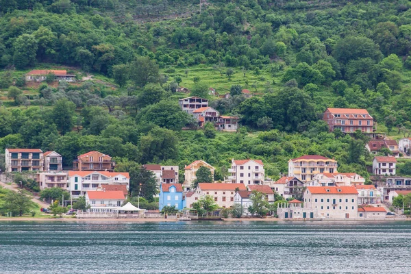 Homes on Coast of Kotor Bay — Stock Photo, Image