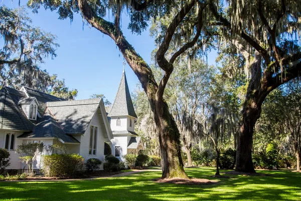 White Church Under Spanish Moss and Green Lawn Stock Photo