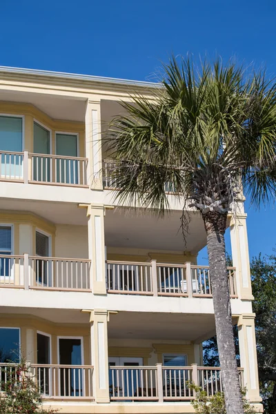 Condo Balconies and Palm Tree — Stock Photo, Image