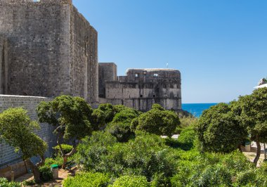 dubrovnik duvarın etrafında yeşil