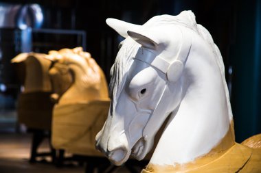 atlıkarınca at sürüyor