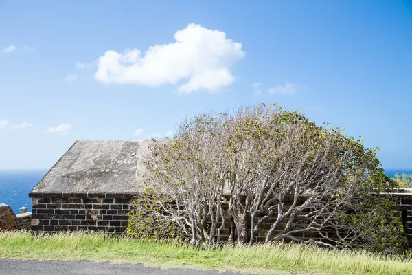 Albero di Coastal Brick Building — Foto Stock