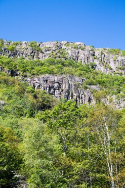 ağaç mavi gökyüzü altında taş kayalıklarla kaplı