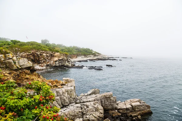 Küste von Maine im Nebel — Stockfoto