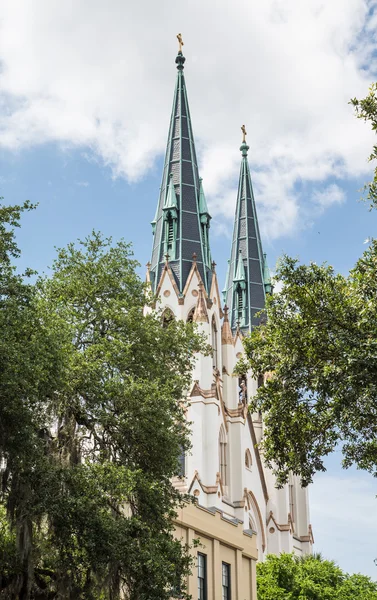 Classic Steeples Beyond Trees — Stock Photo, Image