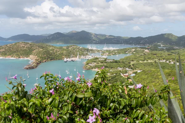 Yacht Harbor Beyond Flowers on Hill — Stock Photo, Image