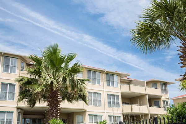 Luksusowe mieszkanie plaża z palmami — Zdjęcie stockowe