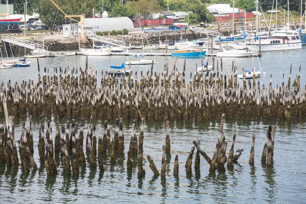 Barche a vela Past Old Wood Pilings — Foto Stock
