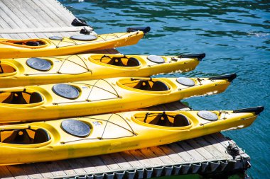 dört sarı kayaklar