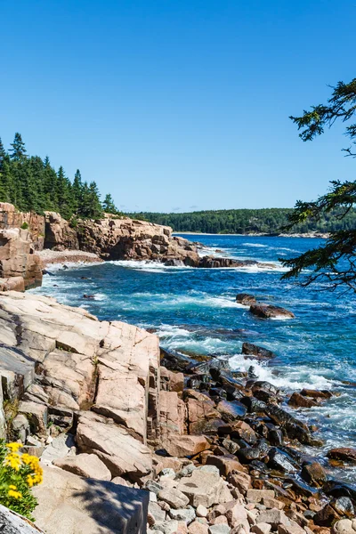 Rocks Along Maine Shore — Stock Photo, Image