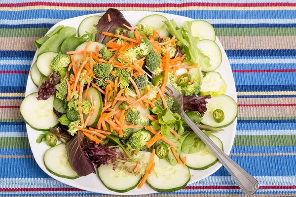 Salade fraîche aux concombres et poivrons — Photo