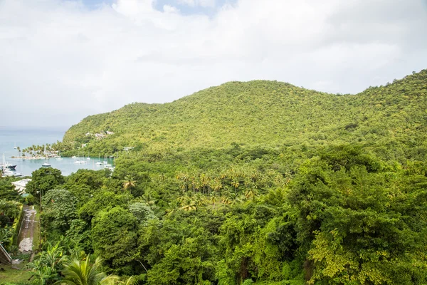 Colinas tropicais verdes sobre a baía de Marigot — Fotografia de Stock