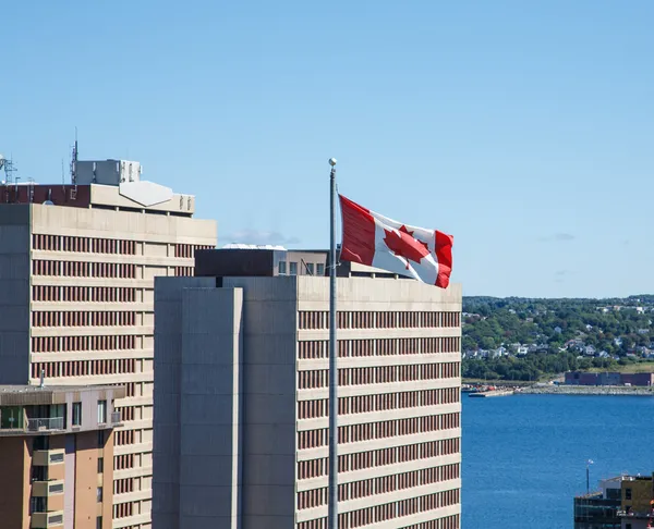 Bandera canadiense y edificios de oficinas —  Fotos de Stock