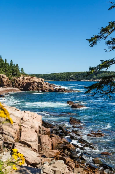 Flowers and Trees on Rocky Shore — Stock Photo, Image