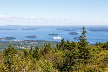 cruise gemi herdem yeşil ötesinde