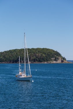 Yelkenli yeşil ada tarafından