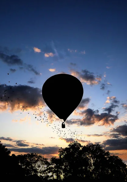 Silueta horkovzdušného balónu za úsvitu — Stock fotografie