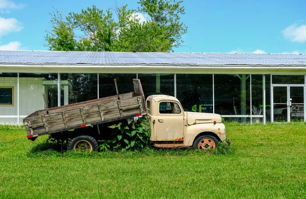 Vieux camion couvert de mauvaises herbes — Photo