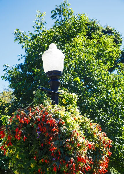 Candeeiro de rua em Jardim — Fotografia de Stock