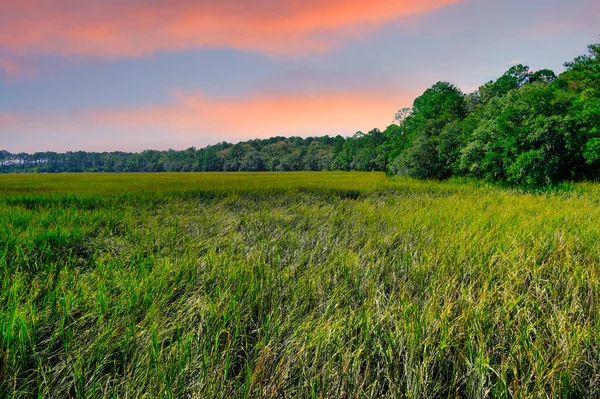 Coastal Marsh Late Afternoon — Stock Photo, Image