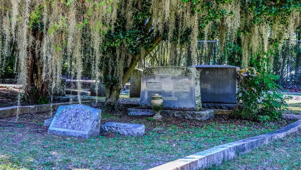 Old Grave Markers Under Spanish Moss — Fotografia de Stock