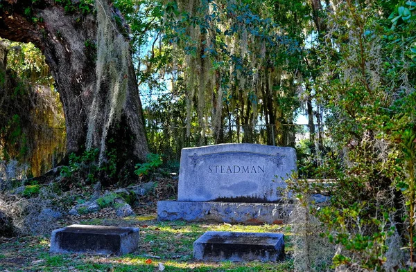 Grave Under Spanish Moss in Early Morning Light — Stock fotografie