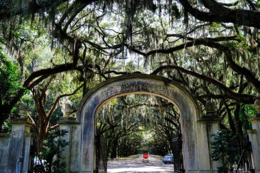 Wormsloe Çiftliğine Giriş