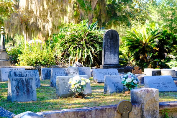 Flowers in Family Plot — Stock Photo, Image