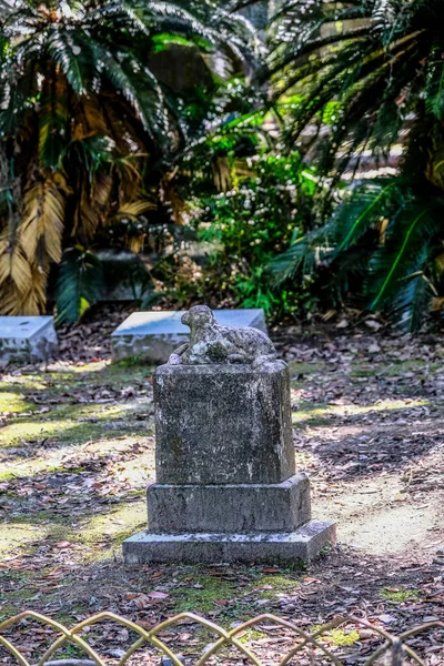 Bonaventure坟场的老Childs Grave — 图库照片