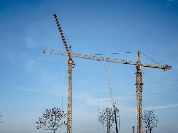 Grues de construction jaunes sur bleu — Photo