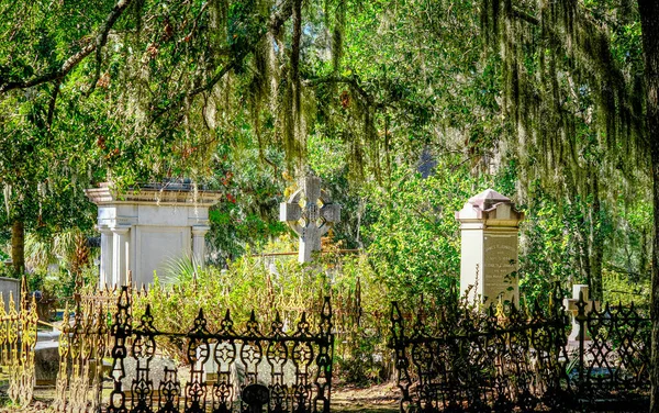 Graves Beyond Black Iron Fence — Stock fotografie