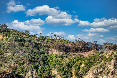 Los Angeles Limanı 'na bakan bir tepedeki konak.