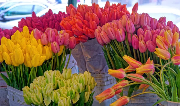 Bunches Tulips Pike Place Market ストックフォト