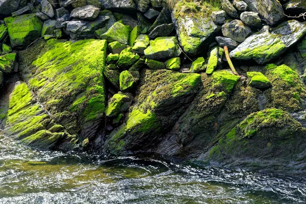 Green Moss Rocks River — Zdjęcie stockowe
