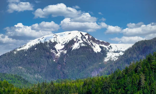 Snow Capped Mountain Alaska Ketchikan — Stockfoto