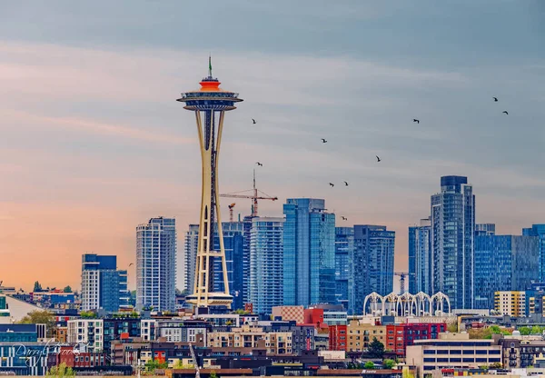 Seattle Washington May 2022 Addition Technology Seattle Has Thriving Tourism —  Fotos de Stock