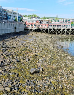BARBOR, MAINE - 1 Eylül 2022: Maine kıyısındaki Bar Harbor 'da sadece 5.000 kişi yaşıyor ama yolcu gemileri yılda 250.000 turist getiriyor..