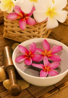 tropikal spa retreat