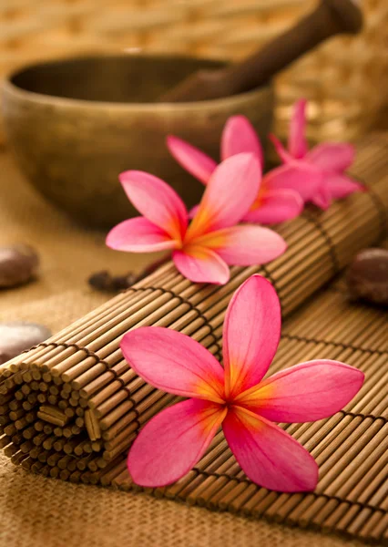 Spa balinese — Foto Stock