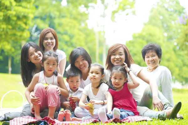 Picnic. — Foto de Stock