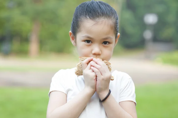 Picknickzeit — Stockfoto