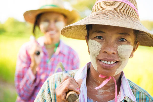 미얀마 농부 — 스톡 사진