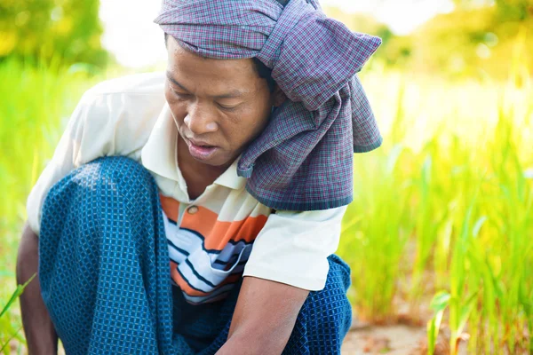 Mężczyzna rolnik Myanmar — Zdjęcie stockowe