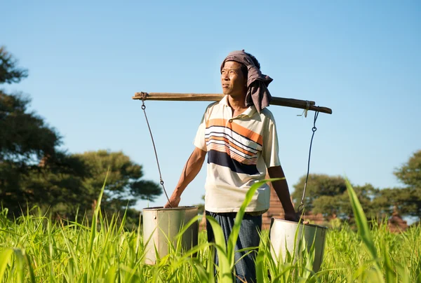 Traditionele Birmese landbouwer — Stockfoto