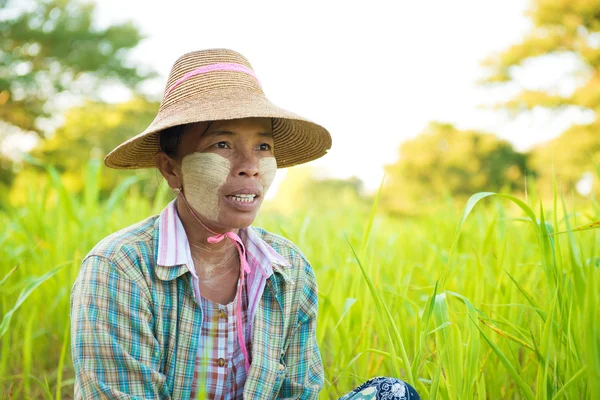 Volwassen myanmar landbouwer — Stockfoto