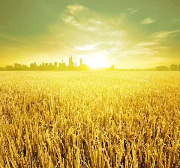 Куала-Лумпур
