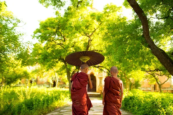 Buddhist monks — Stock Photo, Image