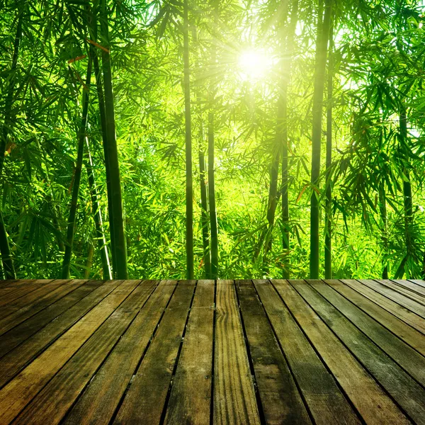 Bamboo forest.