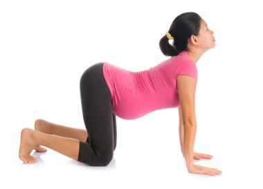 Asya hamile yoga pozisyon kedi pozu.