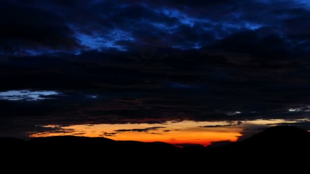 热带森林的黎明 — 图库视频影像